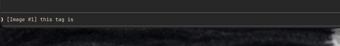 A successful paste: the screenshot appears as an Image #1 chip in the Claude Code prompt.